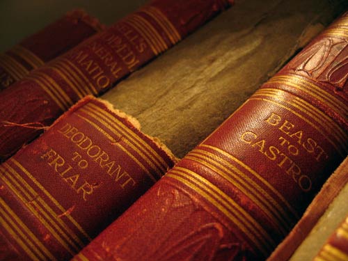 thesis and academic paper editing